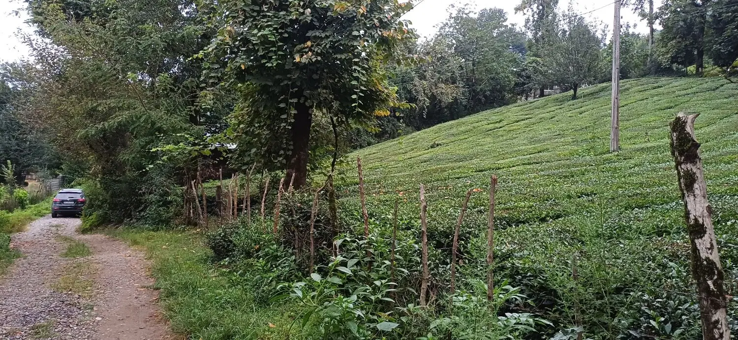 تصویر املاک 136570