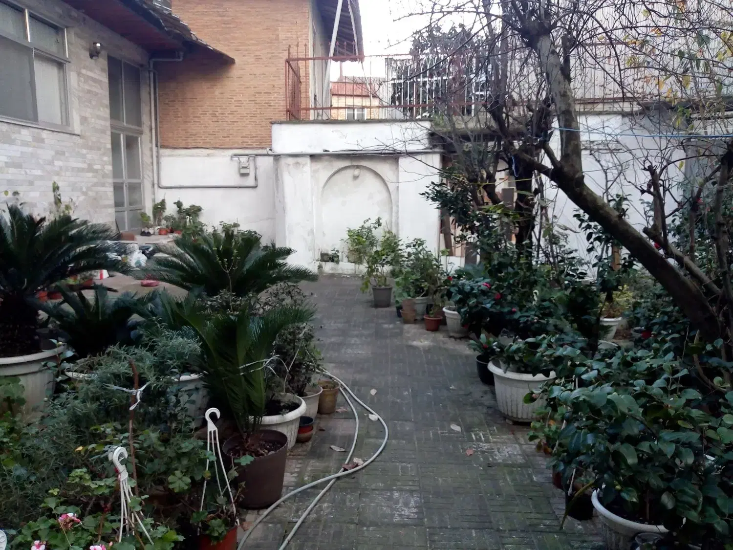 تصویر املاک 54532