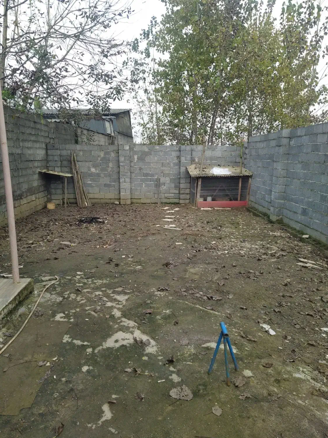 تصویر املاک 37711