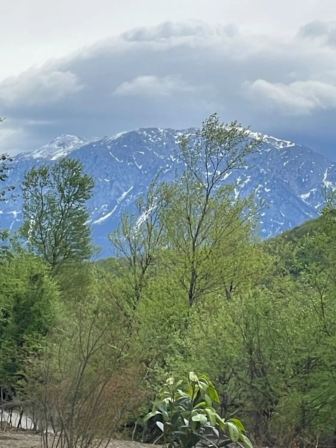 تصویر املاک 65083