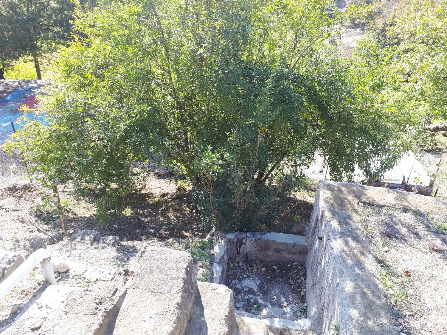 تصویر املاک 66758