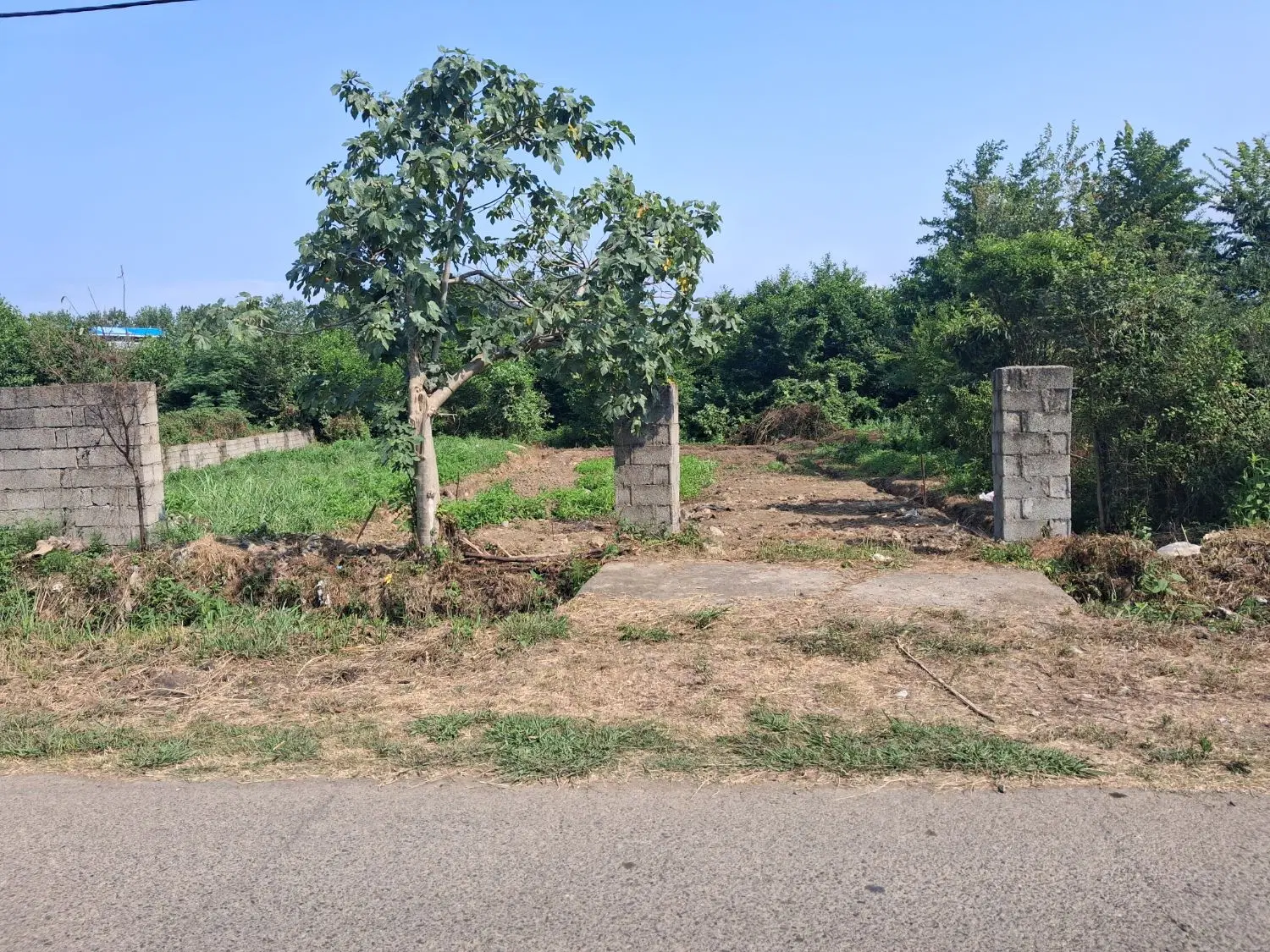تصویر املاک 125304