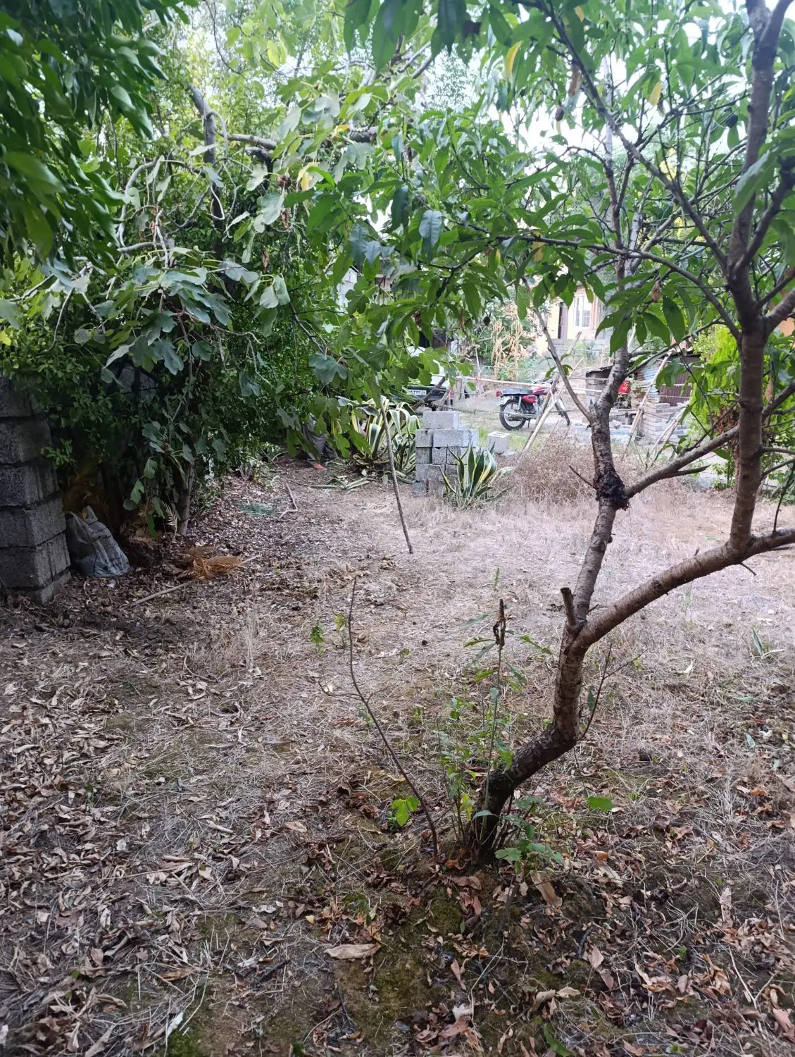 تصویر املاک 110377