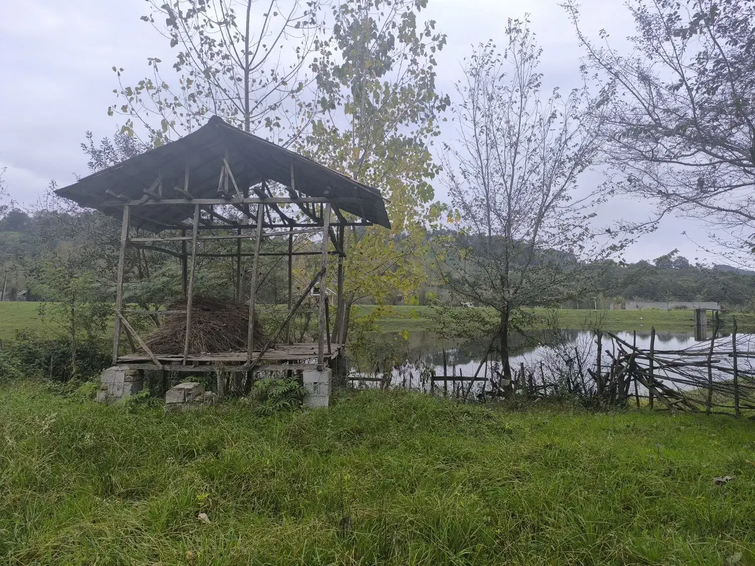 تصویر املاک 36943