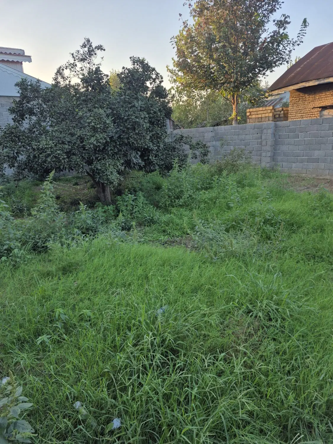 تصویر املاک 131420