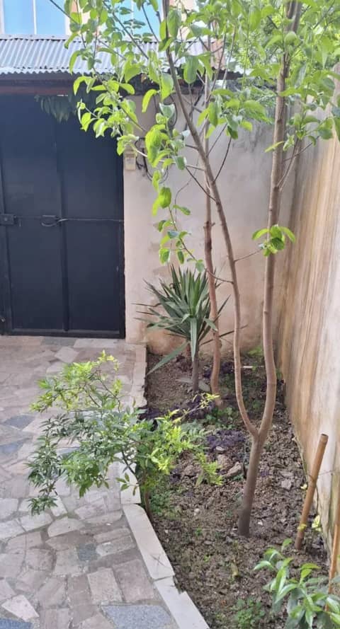 تصویر املاک 3054