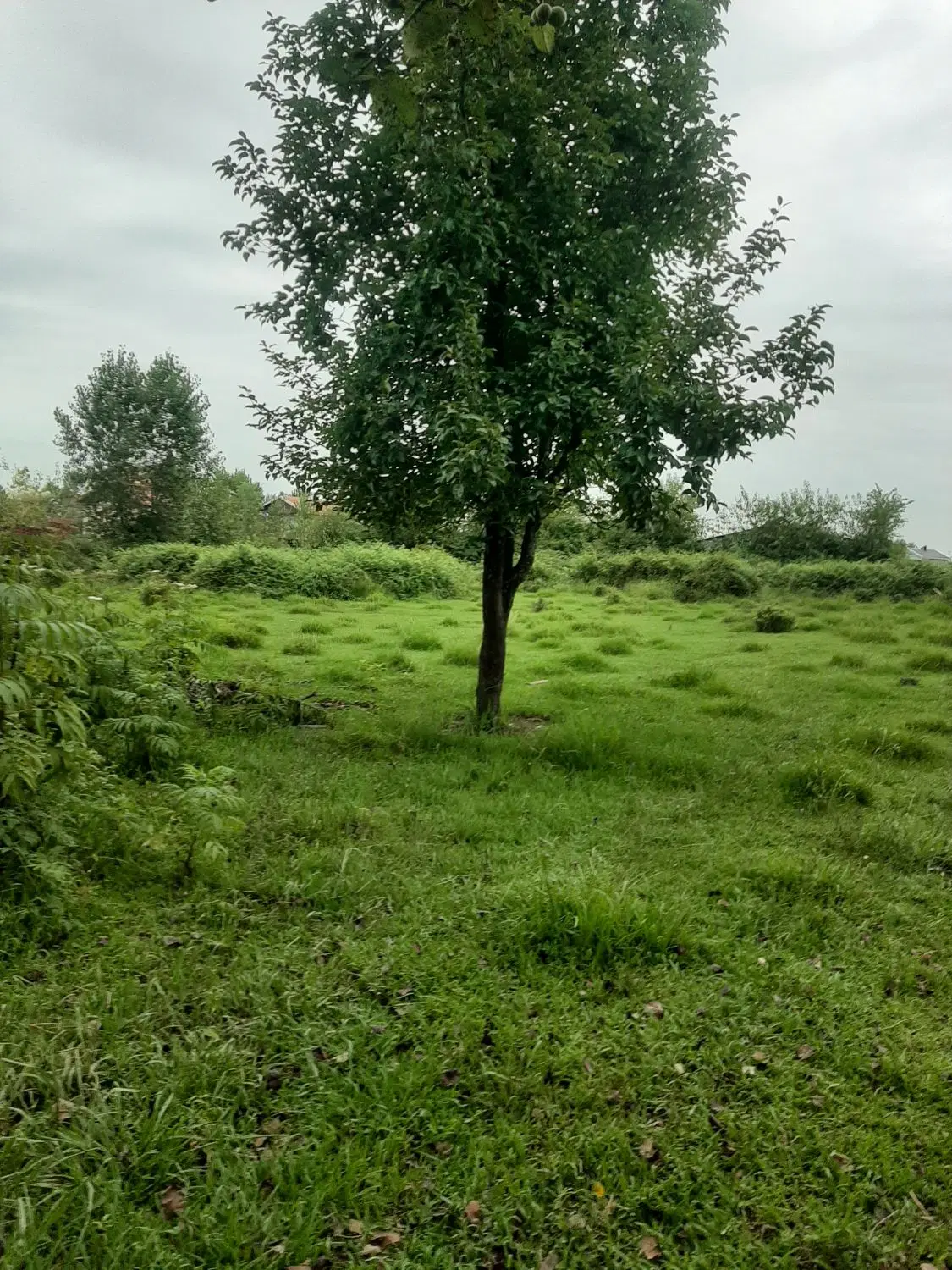تصویر املاک 85282