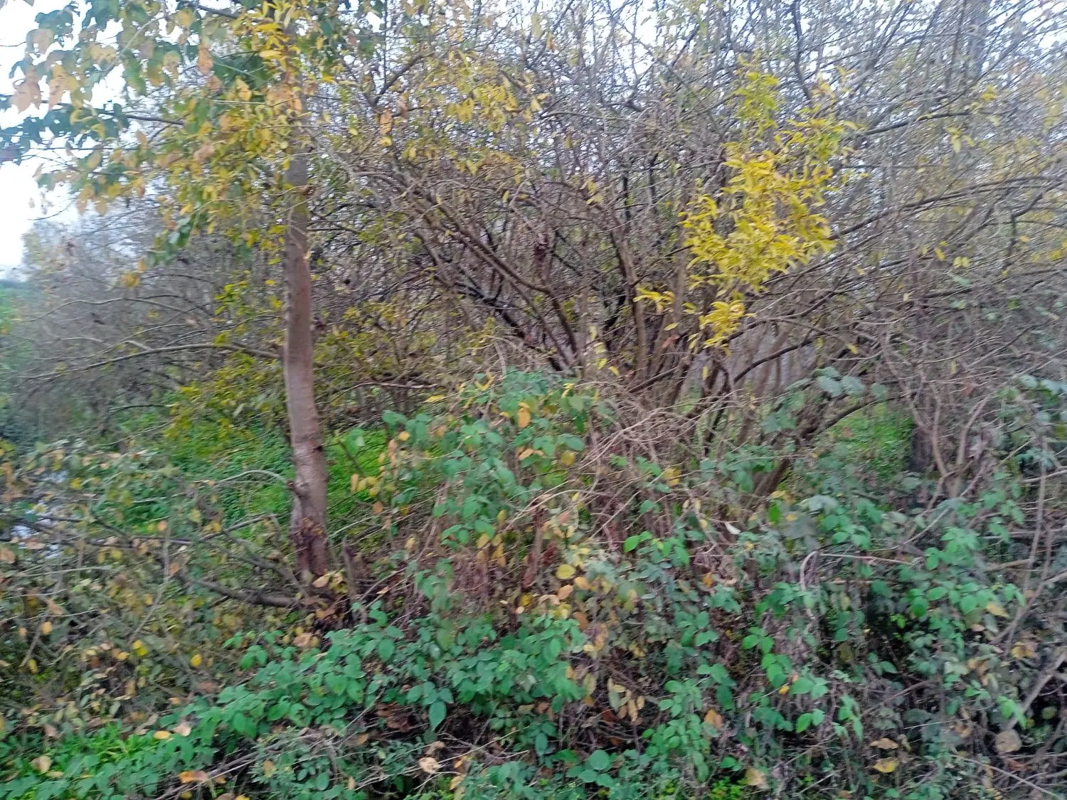 تصویر املاک 90053