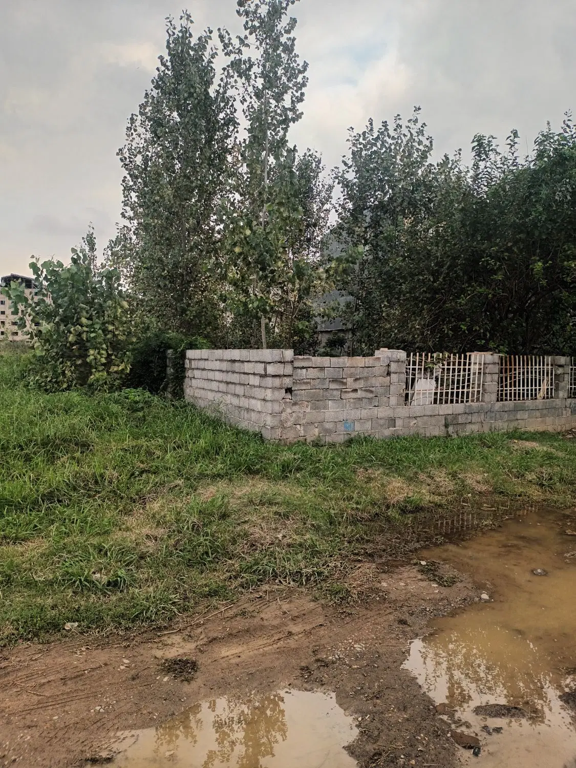 تصویر املاک 136985