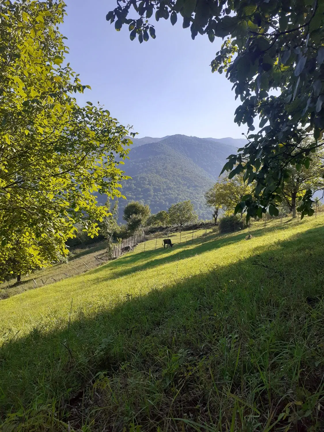 تصویر املاک 106611