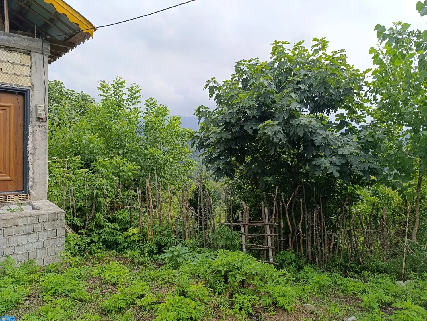 تصویر املاک 136141