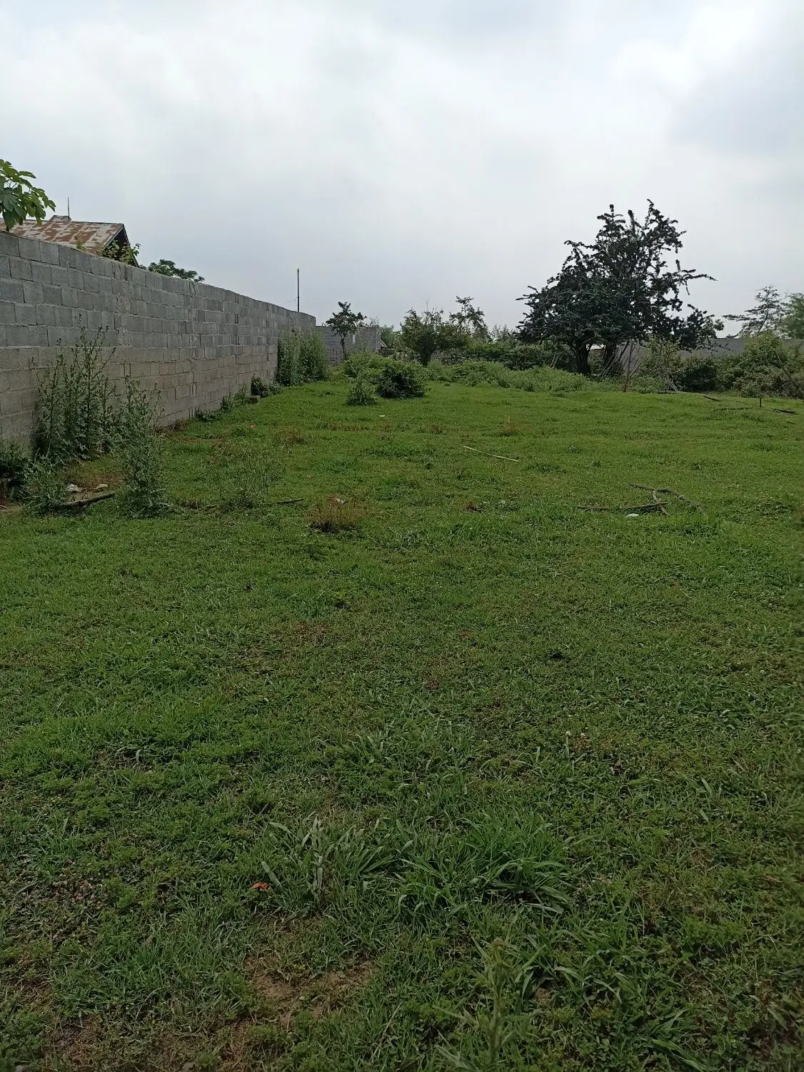 تصویر املاک 88577