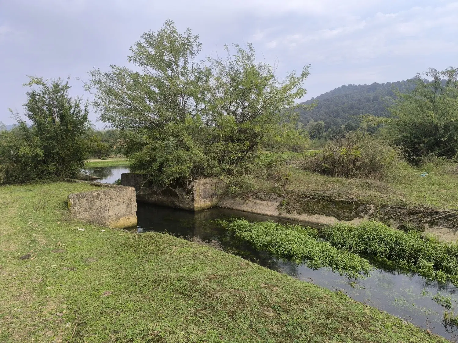 تصویر املاک 134414