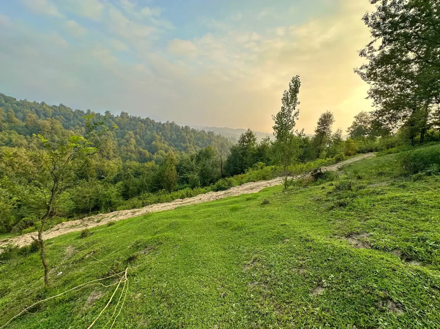 تصویر املاک 38025