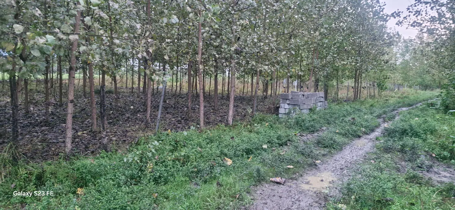 تصویر املاک 142245