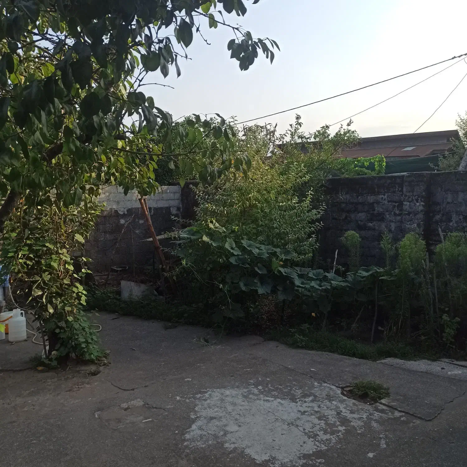 تصویر املاک 35015