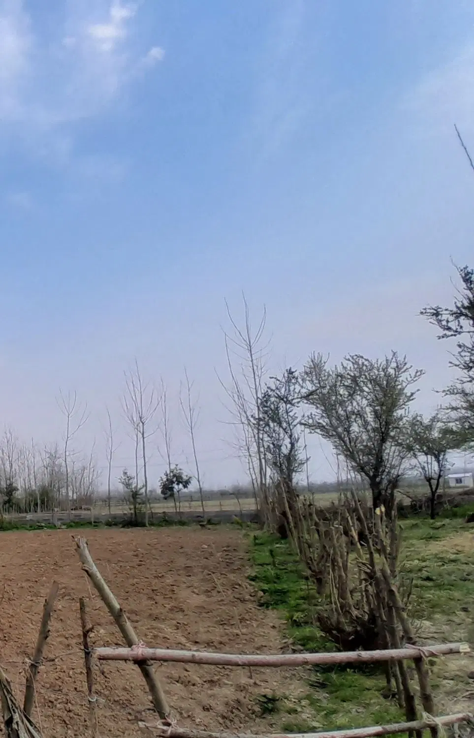 فروش زمین باغی