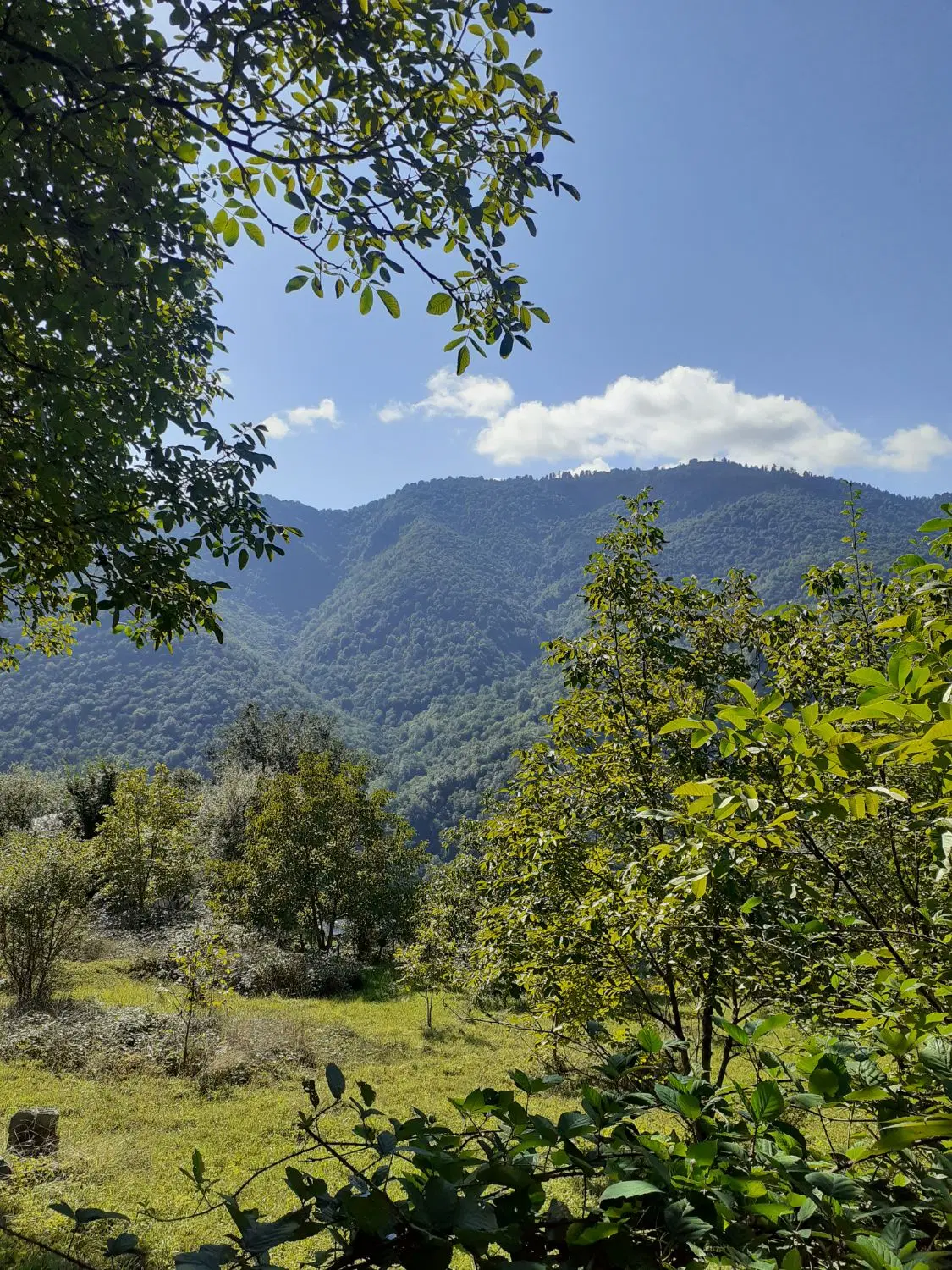 تصویر املاک 106612