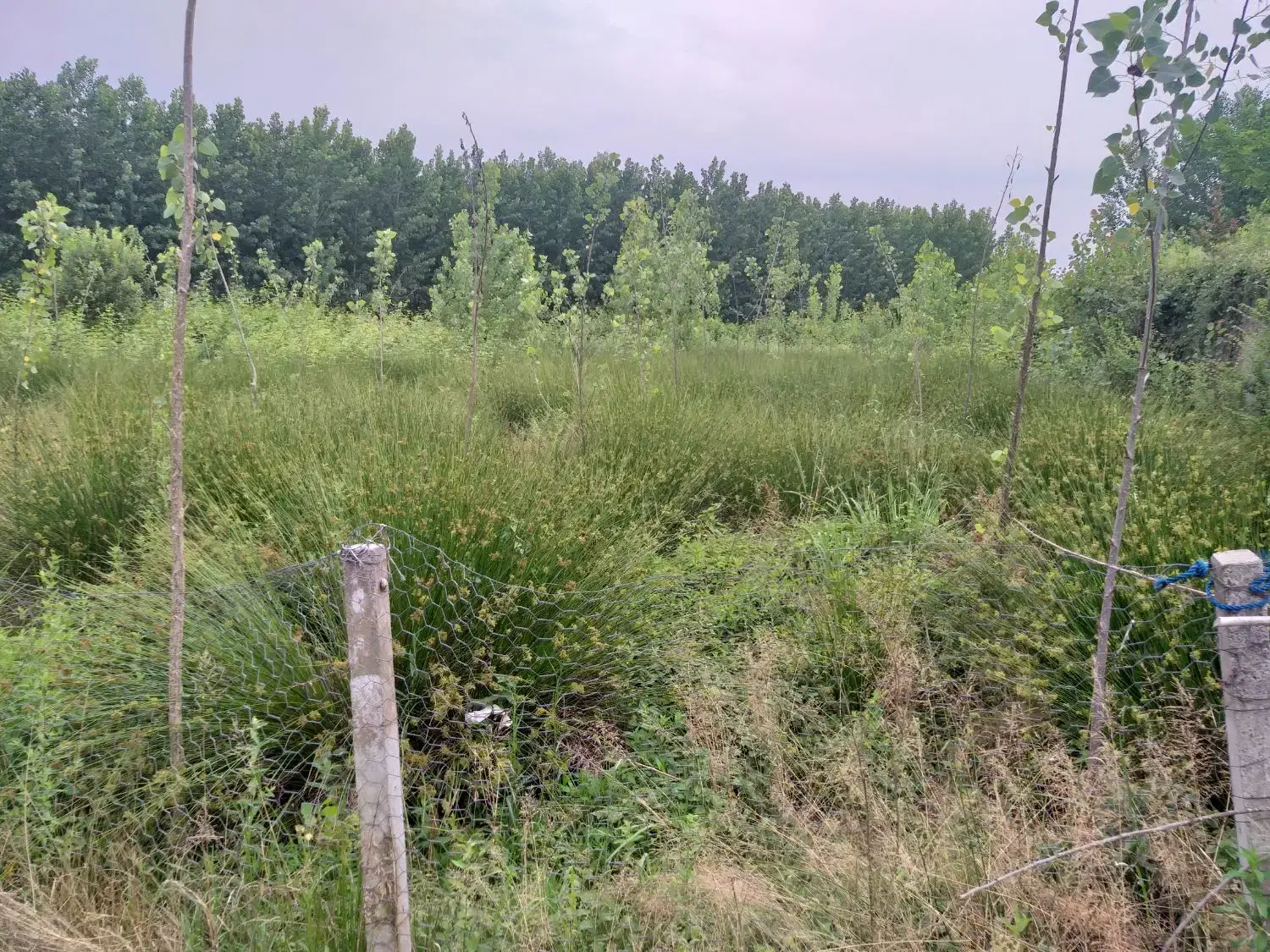 تصویر املاک 56568
