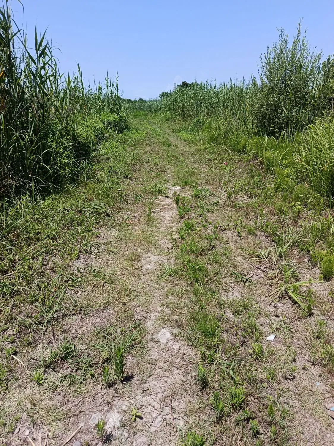 تصویر املاک 57825