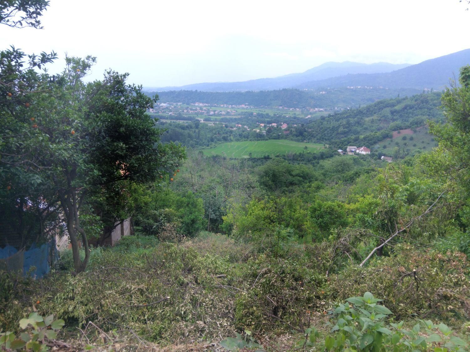 تصویر املاک 5896