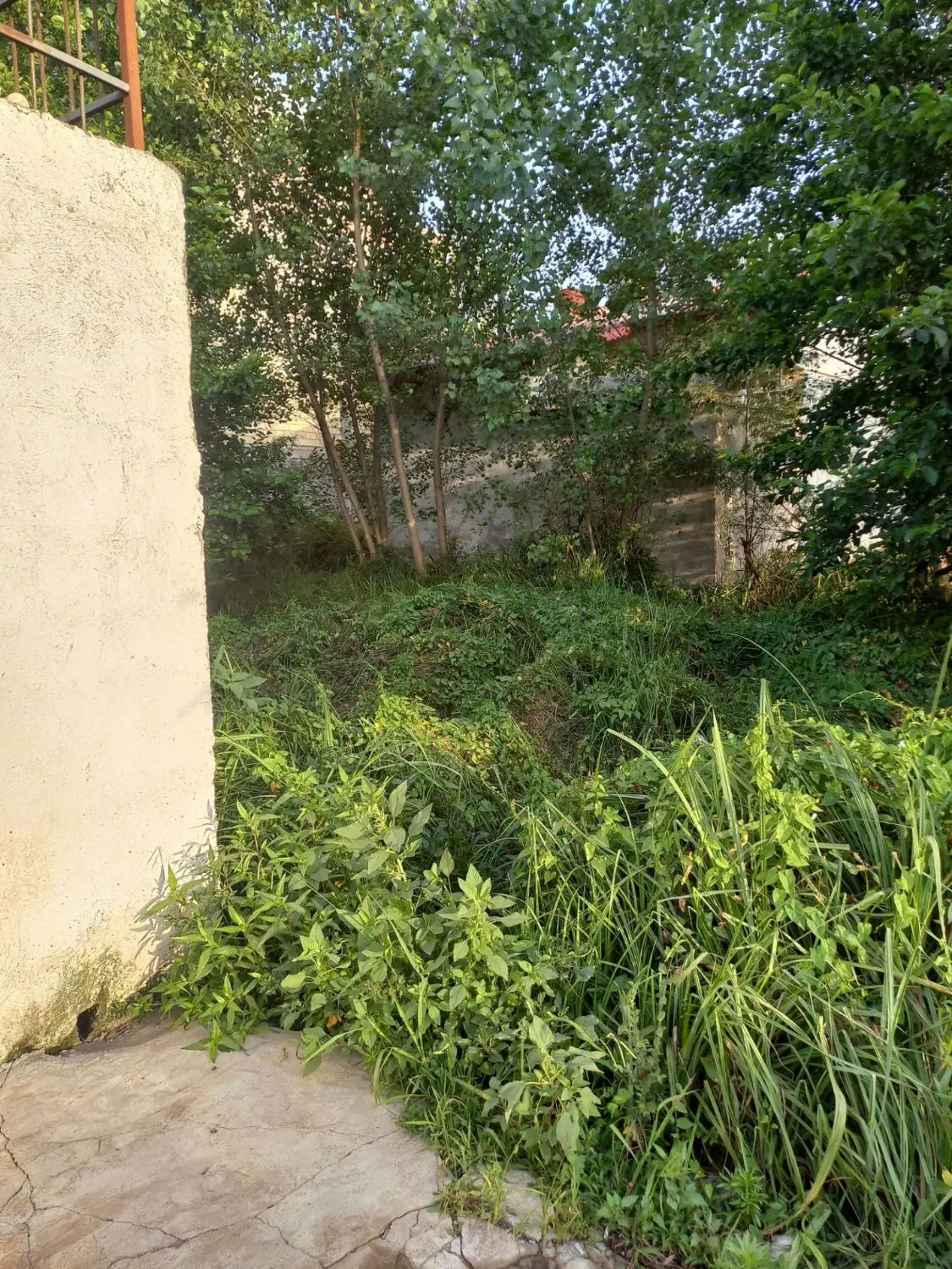 تصویر املاک 63069