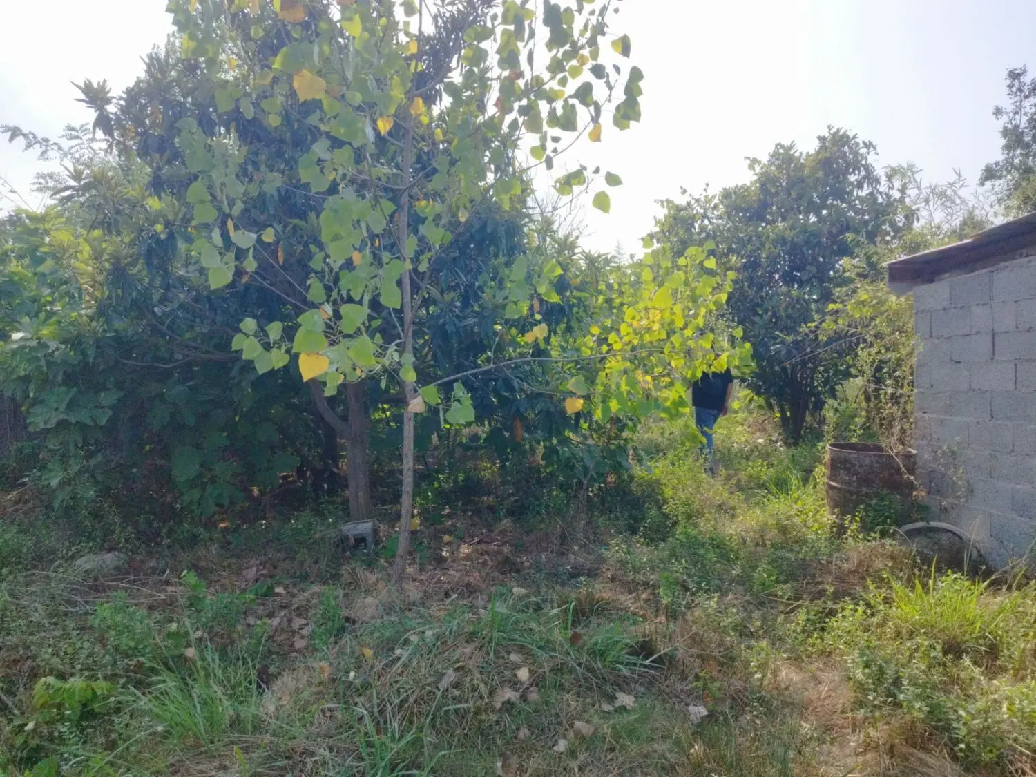 تصویر املاک 102542