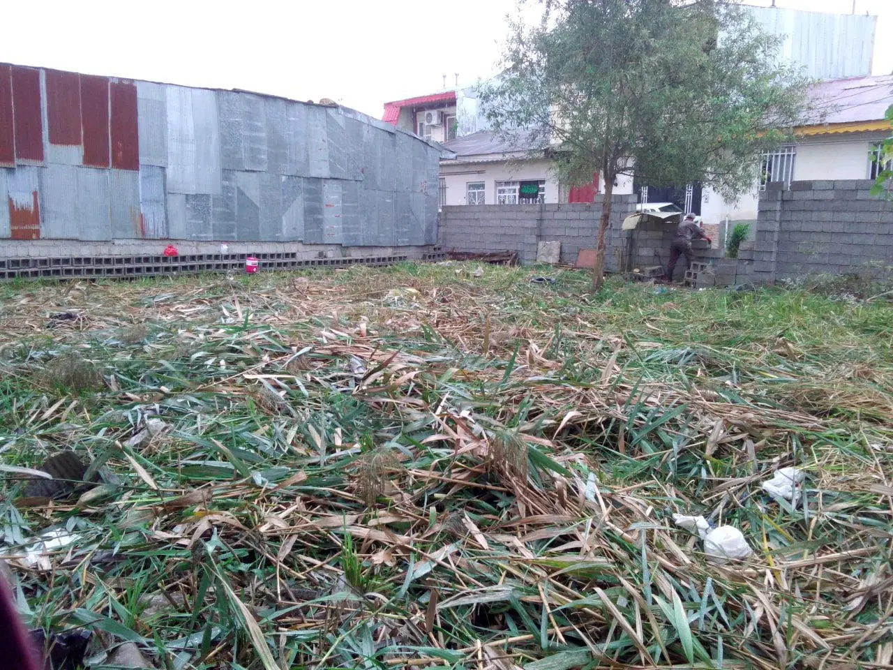 تصویر املاک 142198