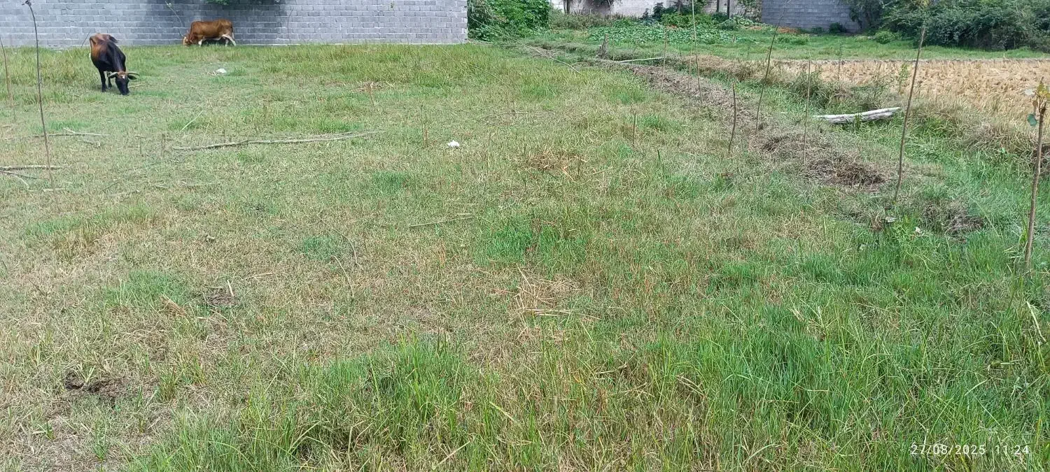 تصویر املاک 4064