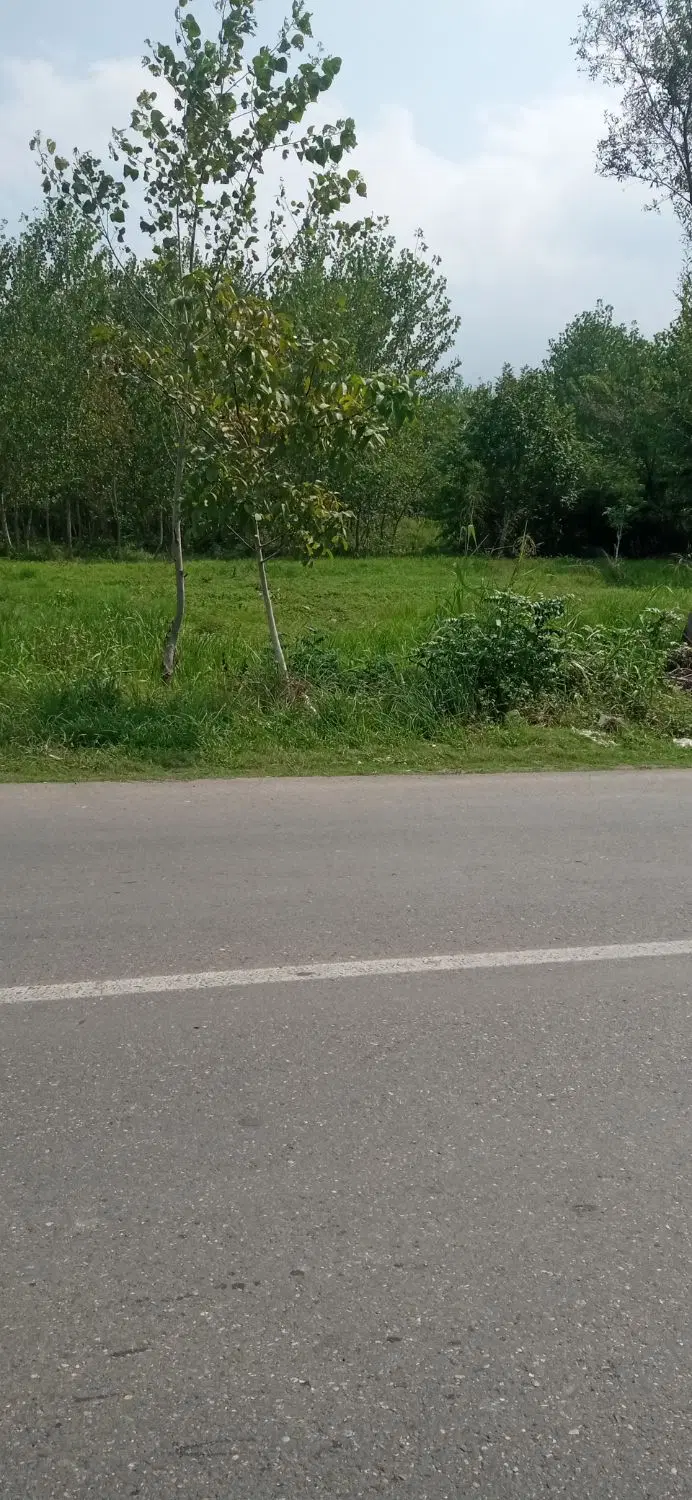 تصویر املاک 125308