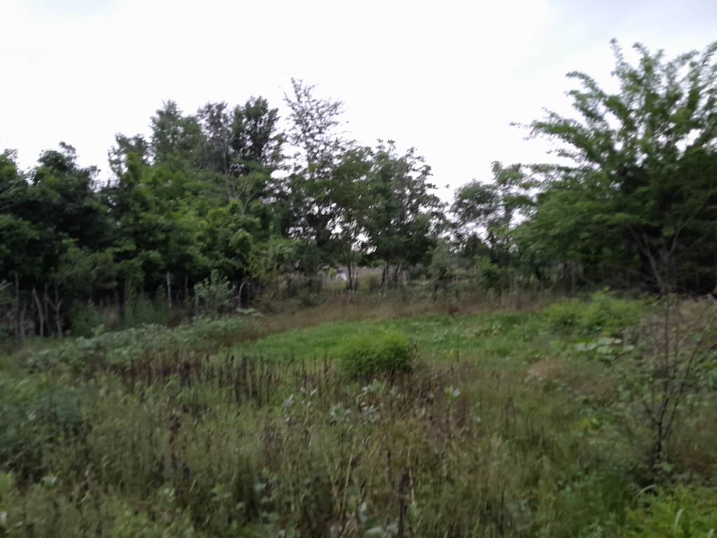 تصویر املاک 1806