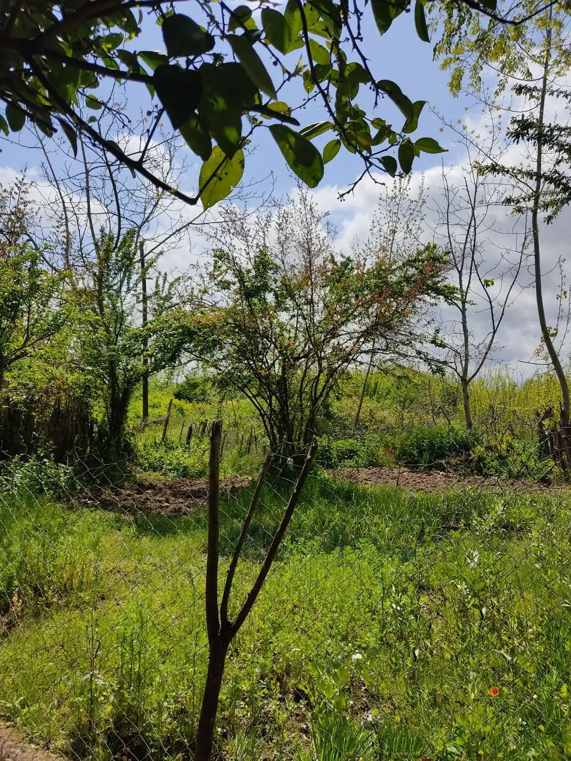 تصویر املاک 38927