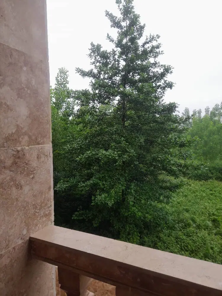 تصویر املاک 102499