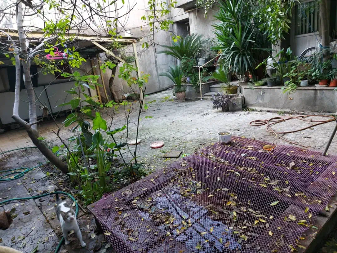تصویر املاک 20301
