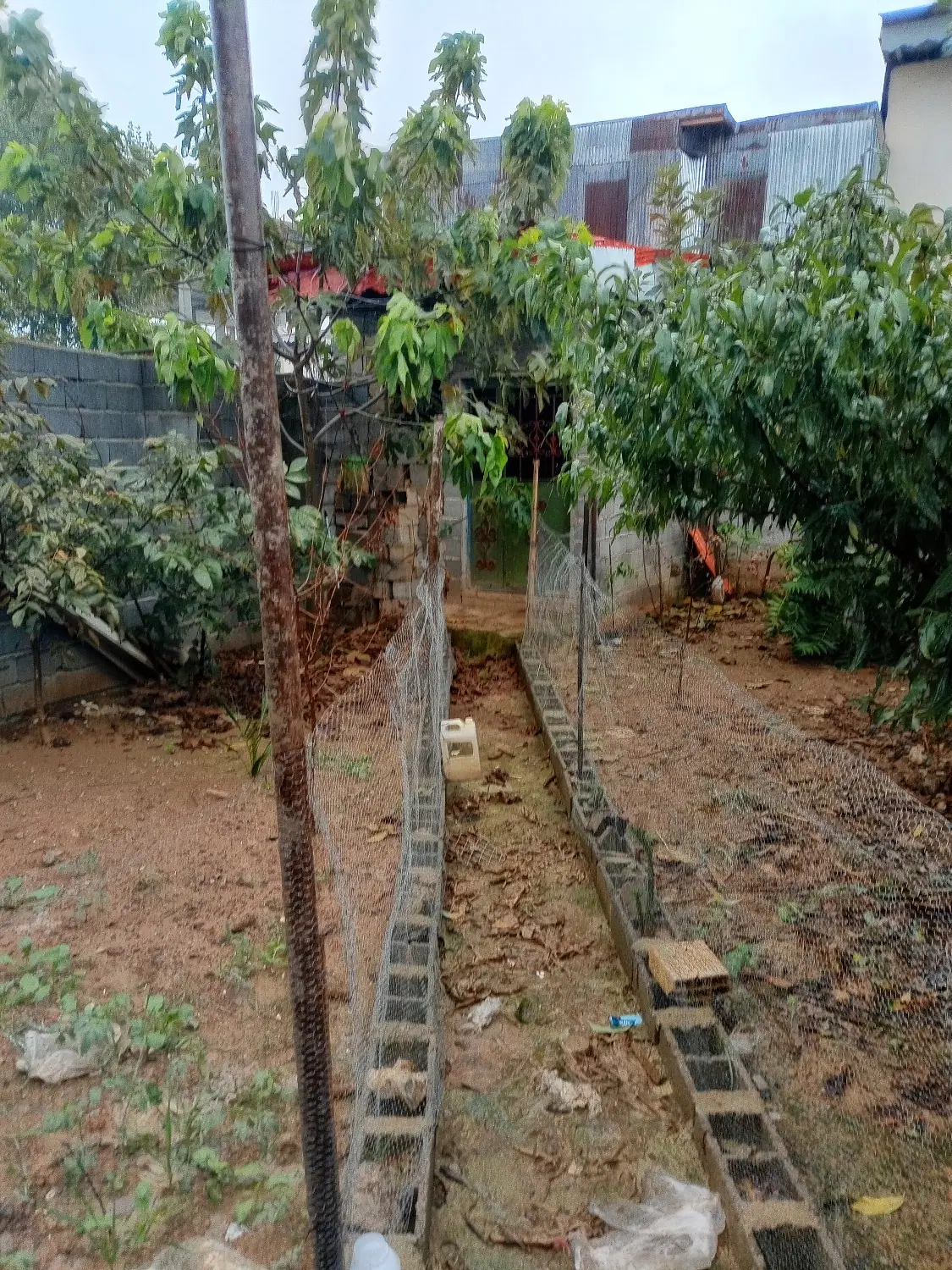 تصویر املاک 145465