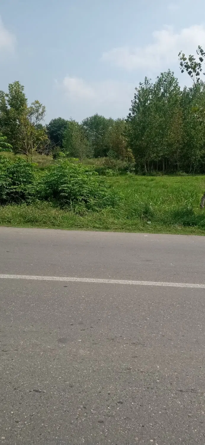 تصویر املاک 125307