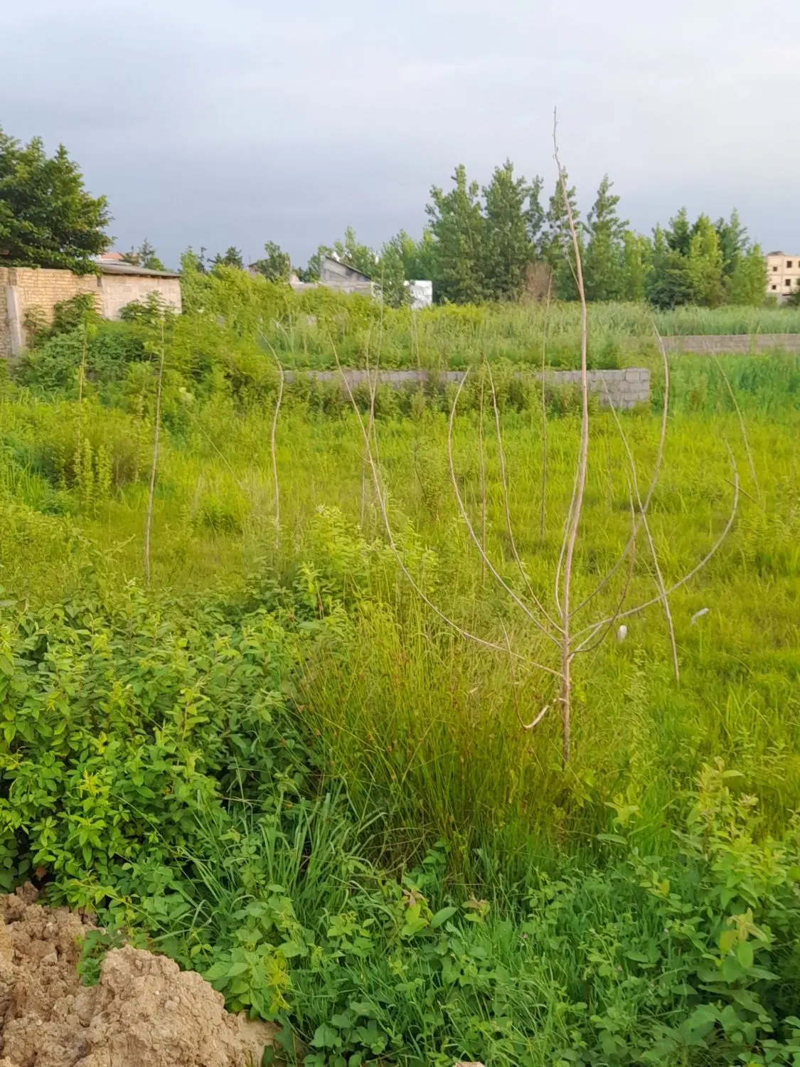 تصویر املاک 105571