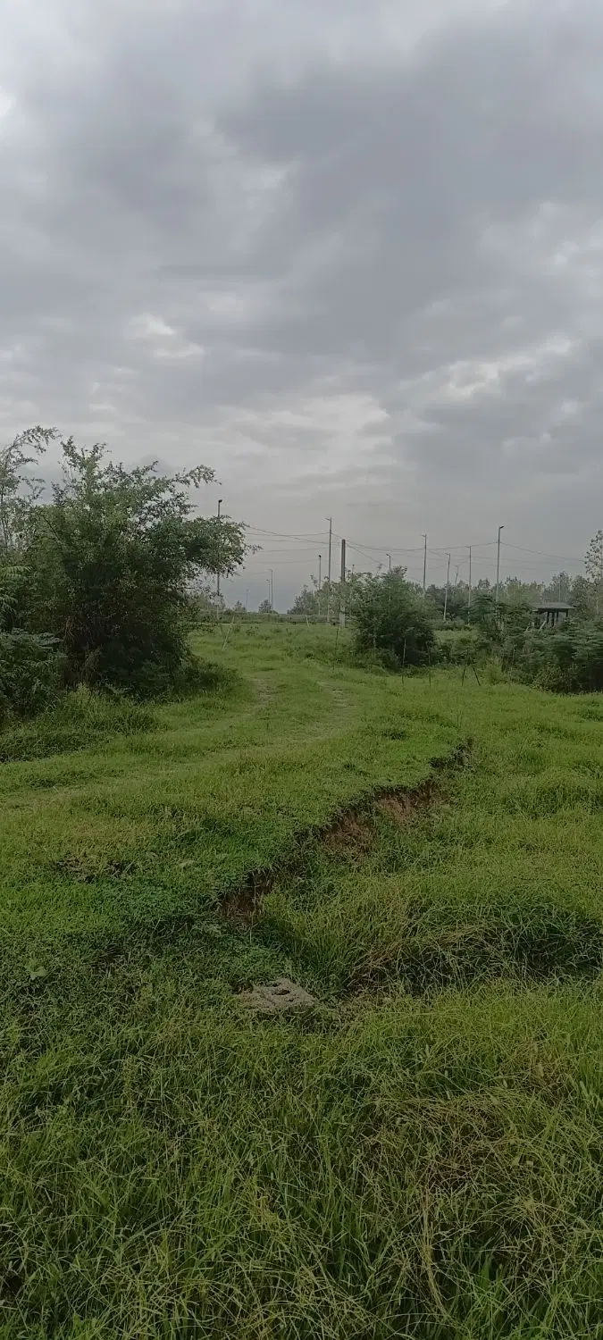 تصویر املاک 135319