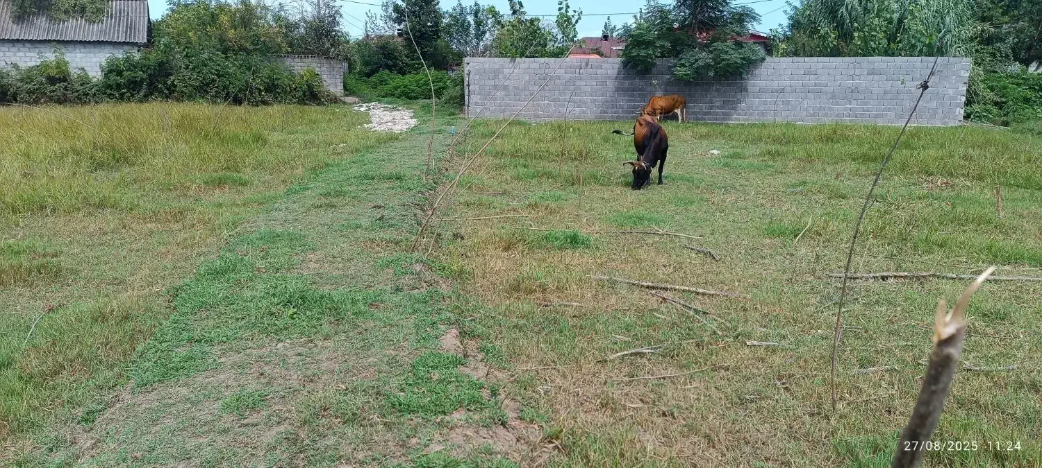 تصویر املاک 4062