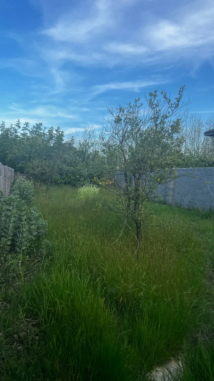 تصویر املاک 125911
