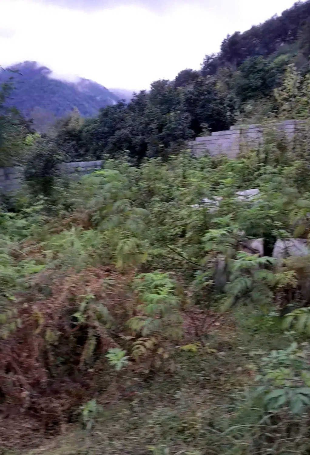 تصویر املاک 142324