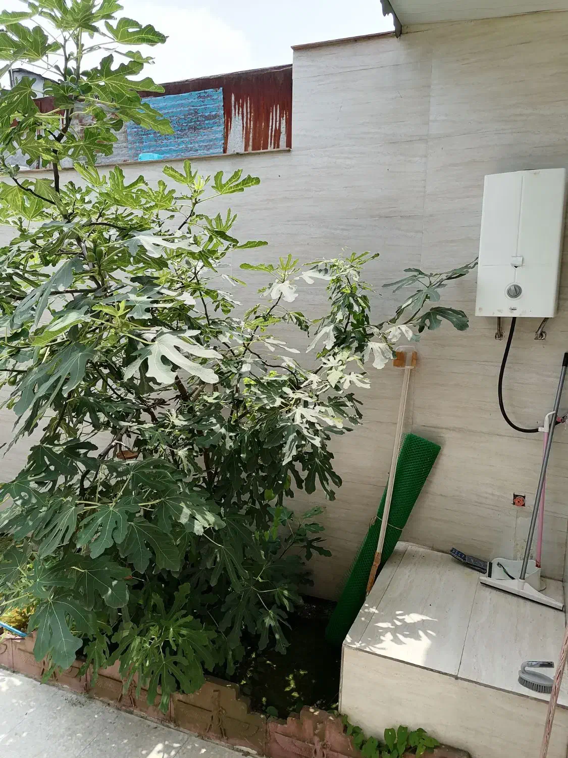 تصویر املاک 30885