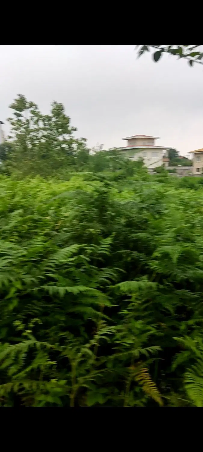 تصویر املاک 83406
