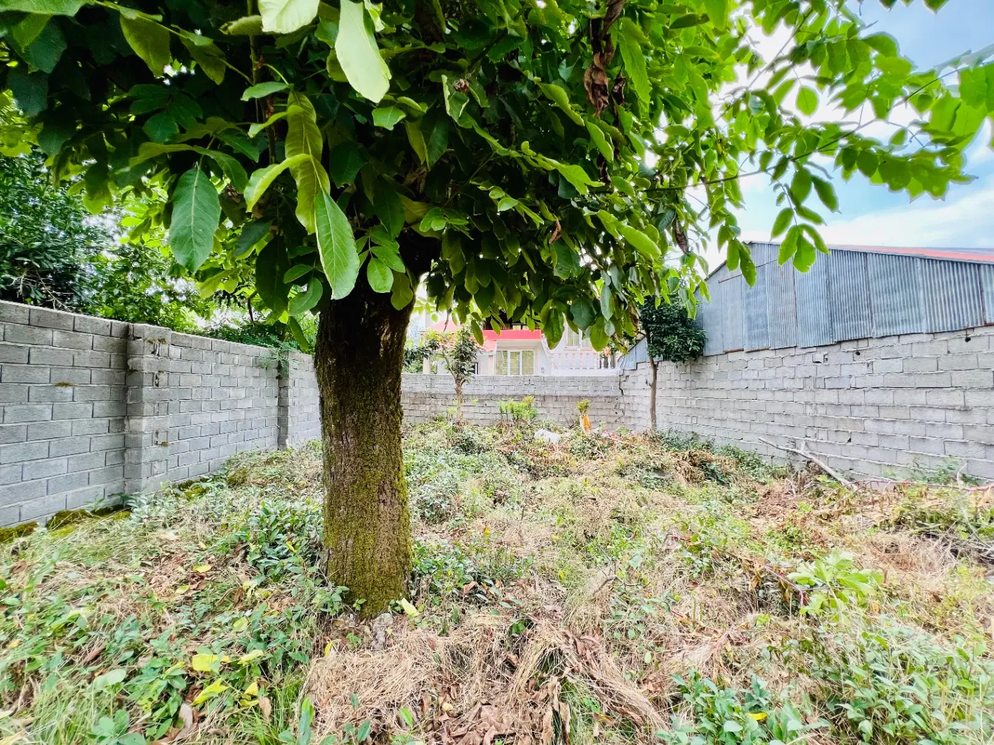 تصویر املاک 116978