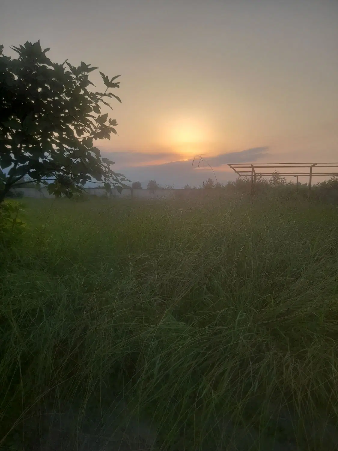 تصویر املاک 81458