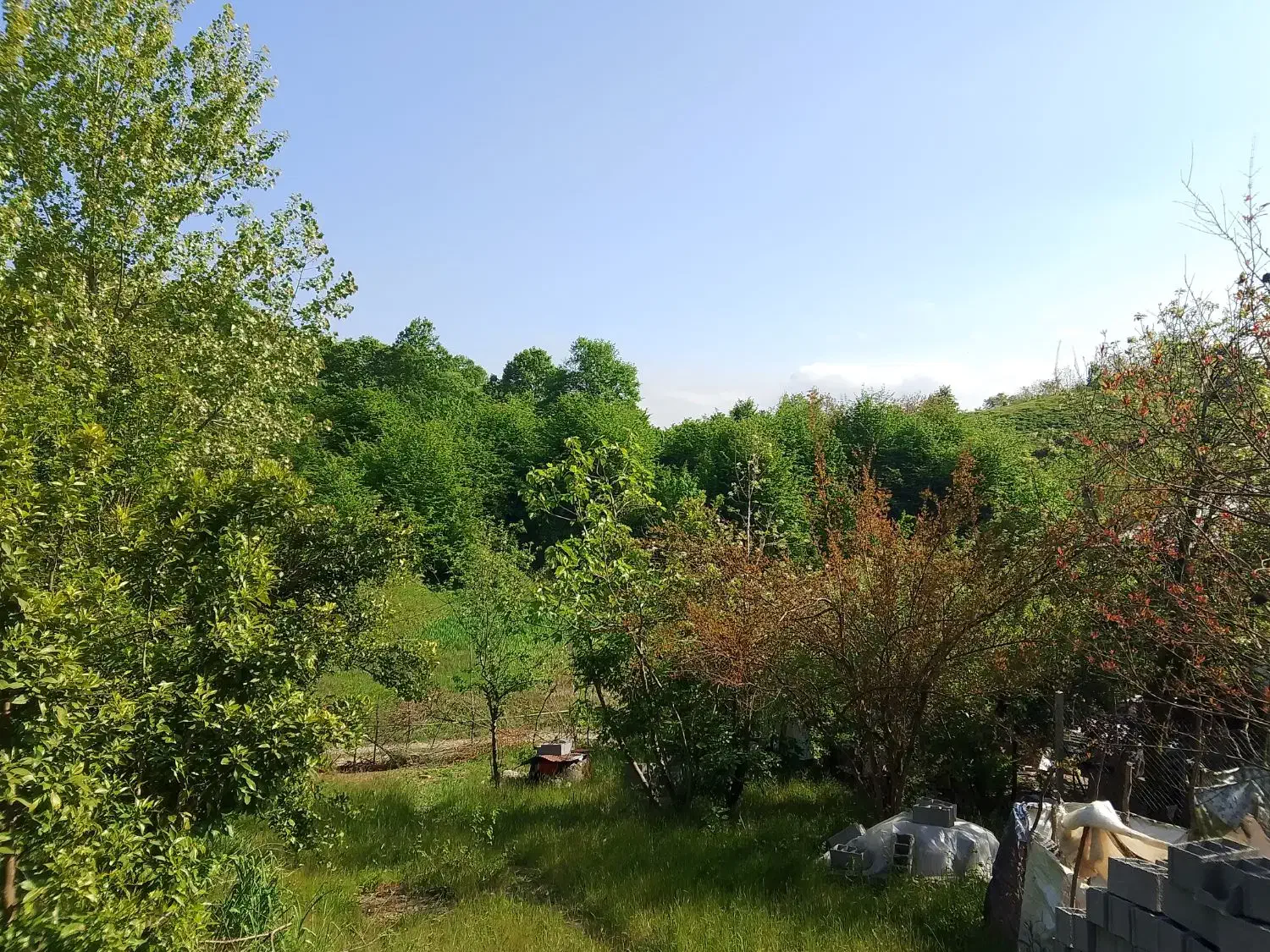تصویر املاک 35680