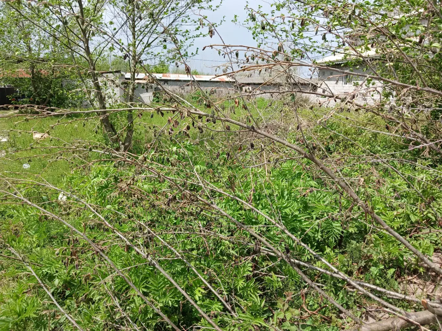 تصویر املاک 38718