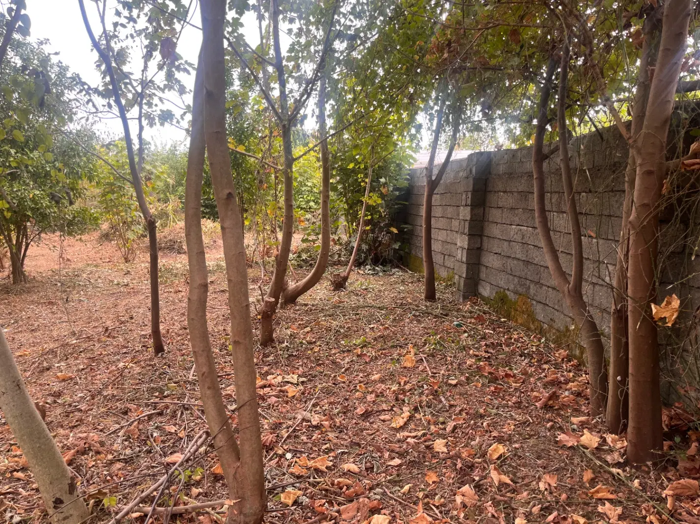 تصویر املاک 131229