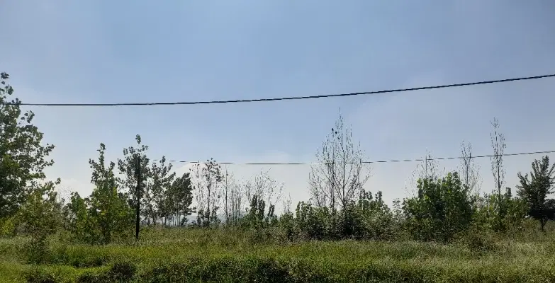 تصویر املاک 128069