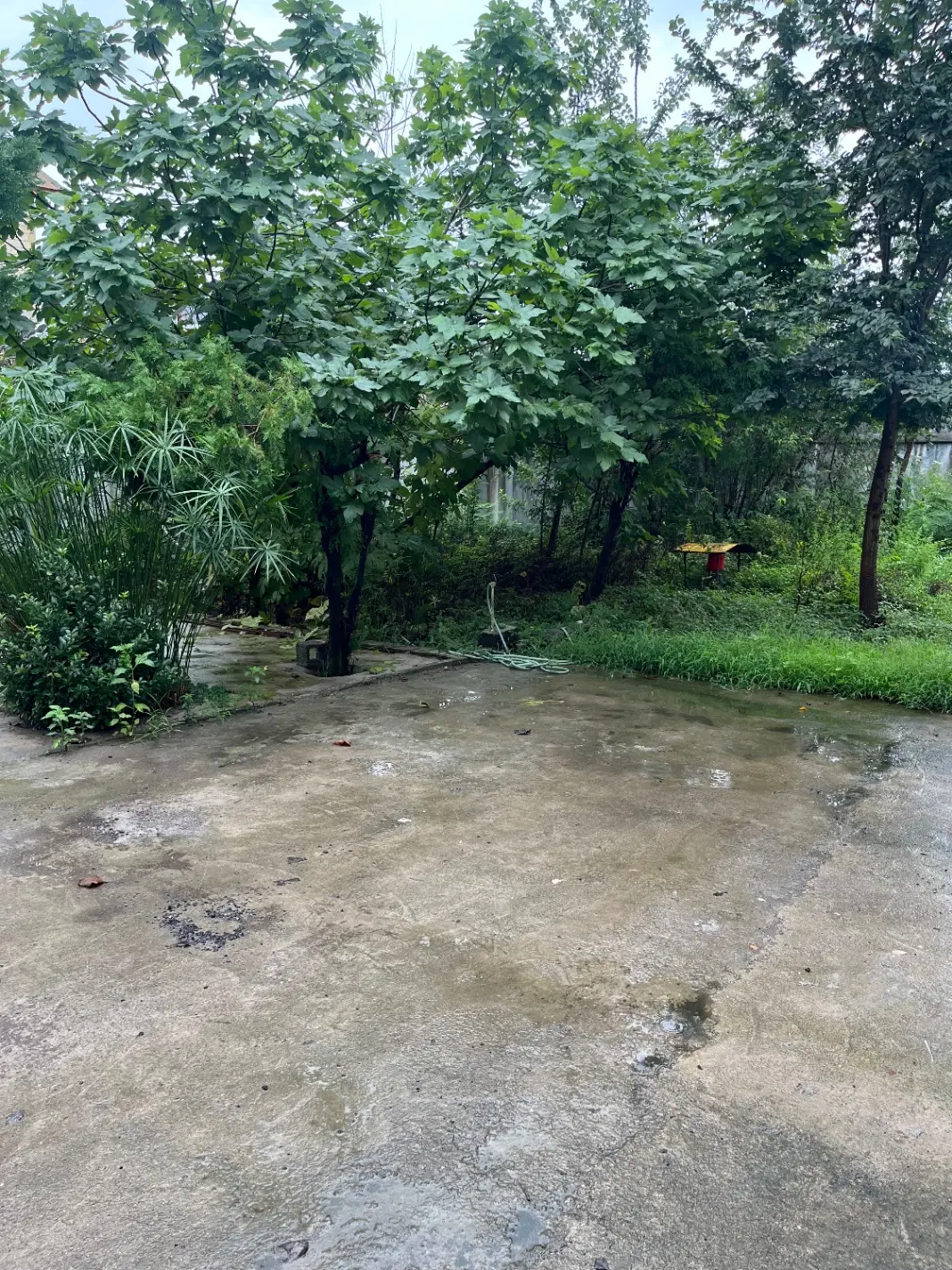 تصویر املاک 116838